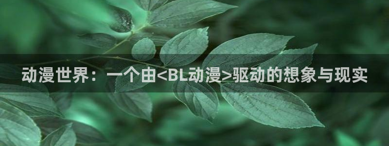 韩漫漫画大全免费观看：动漫世界：一个由<BL动漫>驱动的想象与现实配图