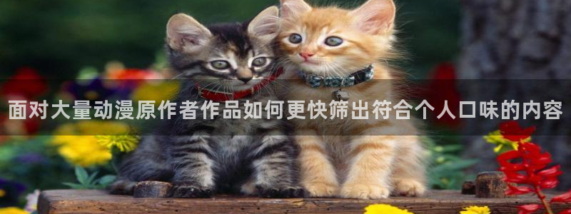 韩漫大全在线阅读：面对大量动漫原作者作品如何更快筛出符合个人口味的内容配图