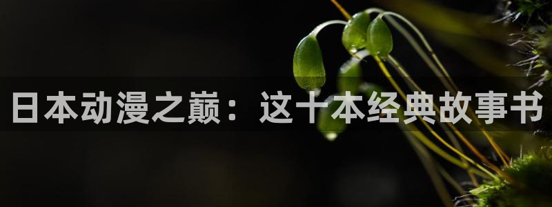 韩漫大全最新更新：日本动漫之巅：这十本经典故事书配图
