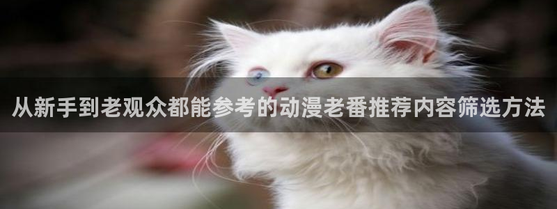 韩漫阅读网:从新手到老观众都能参考的动漫老番推荐内容筛选方法配图