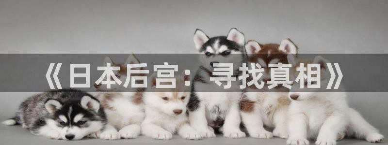 免费韩漫阅读网站:《日本后宫:寻找真相》配图