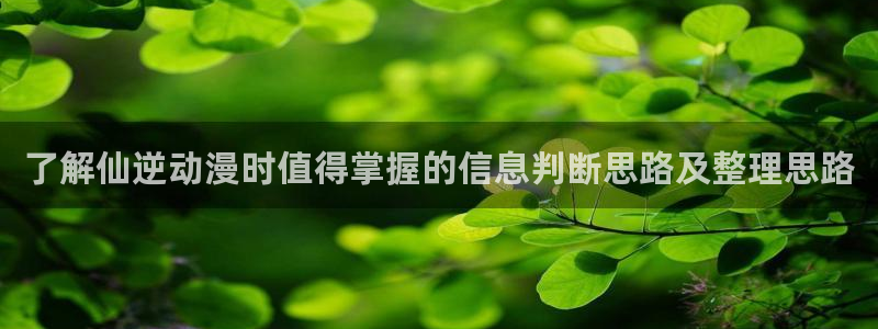 韩漫漫画大全中文版:了解仙逆动漫时值得掌握的信息判断思路及整理思路配图