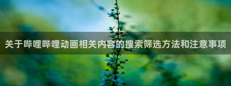 韩漫少年漫画:关于哔哩哔哩动画相关内容的搜索筛选方法和注意事项配图