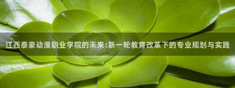 在线韩漫漫画网站:江西泰豪动漫职业学院的未来:新一轮教育改革下的专业规划与实践配图