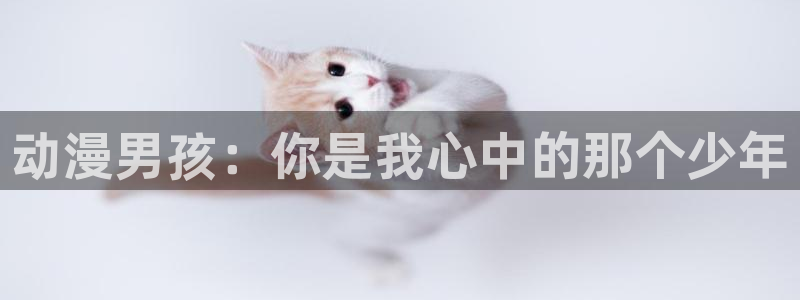 韩漫少女漫画推荐:动漫男孩:你是我心中的那个少年配图